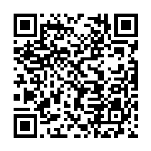 我是真的懒得启动单机系统的攻击模式和他作斗争二维码生成