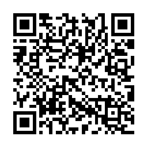 我暂时只能教你一些简单的擒拿格斗类的战斗技巧二维码生成