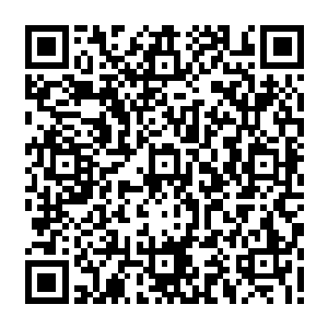 我曾经以为或许他的家庭和其他大富大贵的家庭一样充满着虚假的人性和伪善的情义二维码生成