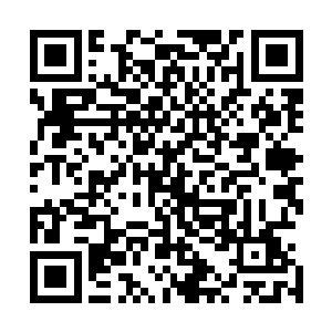 我最担心的就是陆家会不会让那些上等家族来对付我们墨府二维码生成