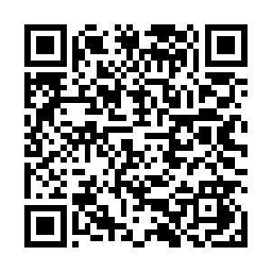 我本来准备用圣血和你们贝族最想要的圣血玉换吞海贝二维码生成
