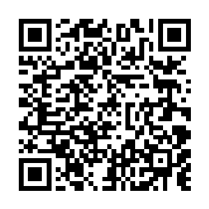 我本来就想让你和倾城小友一起任第三级宗门宗主的二维码生成