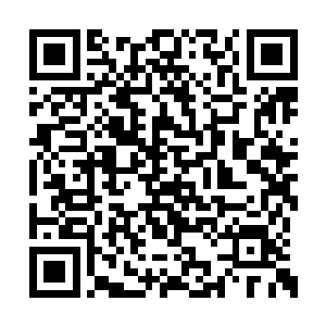 我本身也不会遭受到任何的攻击伤害和魅惑伤害二维码生成