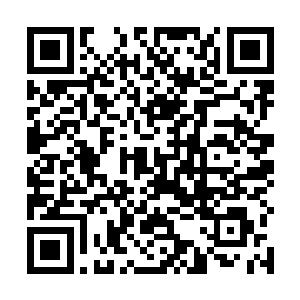 我果决是会先拍死王浩文再立刻钻进去打死不都不出来二维码生成