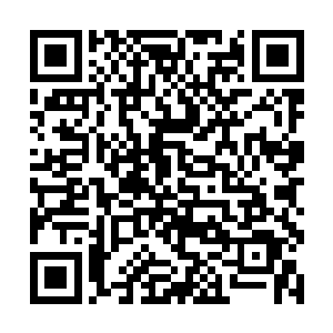 我果然看见一辆面包车和一辆小汽车发生了迎头撞击二维码生成