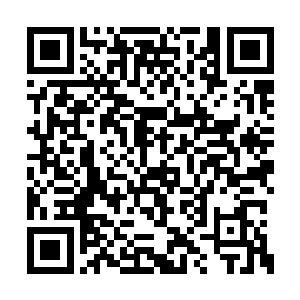 我此刻的状态显然已经不仅仅是杀气的入门阶段二维码生成