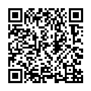 我派人去杀他才对……怎么可能反倒是让他来主动杀我呢二维码生成