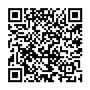 我现在终于明白为什么你经常对陆尘和黄明不是打就是骂二维码生成