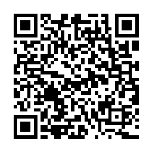 我甚至再也回忆不起曾经在状元村的赵半仙是一个什么样子二维码生成