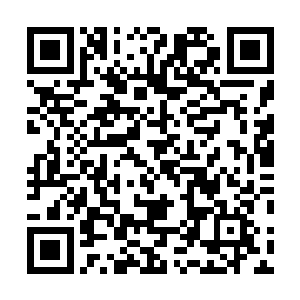 我留了小舞在阵法之内警戒叮嘱它随时可与我精神力联络二维码生成