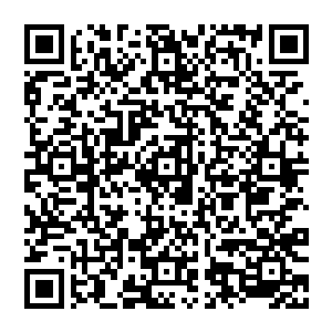 我的亲笔签名书+纨绔特别定制的q版时光宝石+我亲手写的经典语录签名明信片――恭喜获奖的两位亲二维码生成