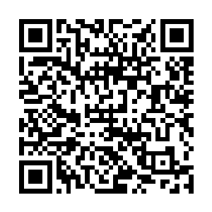 我的实力就算是在十二管理之中也绝对算得上是顶尖的二维码生成