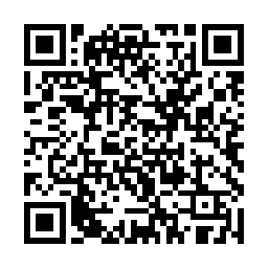 我的缚魂藤也可以顺利地从沙漠下面钻到你的脚下去二维码生成