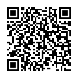 我的那些同行甚至还找到了他们在某个专业研究论坛时候的照片二维码生成