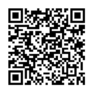 我相信以他们的实力保护自己不丢了命应该是没有问题的二维码生成