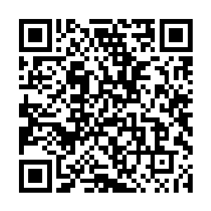 我相信你这些天肯定把这个世界上最顶尖的药学博士二维码生成