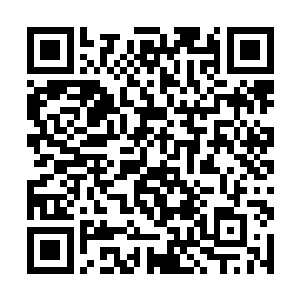 我相信手上不用刀衣服上不沾血照样能把钱赚了――二维码生成