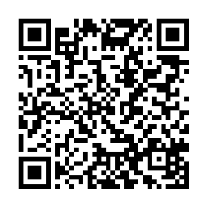 我相信早晚有一天也会有另外的人用你们的命去谋财二维码生成