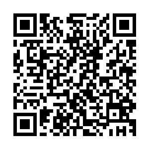 我看了影片的第一反应就是……我在片场里当了一个月的傻子二维码生成