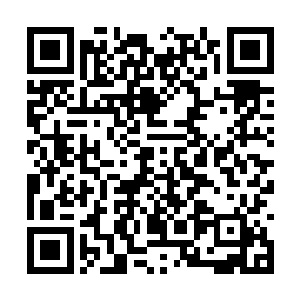 我看他的身份绝不是国际红十字会志愿者这么简单二维码生成