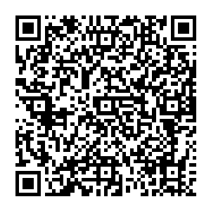 我看住在你屋里面的那个小姑娘就不错……姑娘长的水灵水灵的……以后和你生的孩子一定好看二维码生成