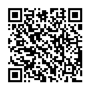 我看着一条分叉鲜红的舌尖死死的缠在大红的面具上面二维码生成