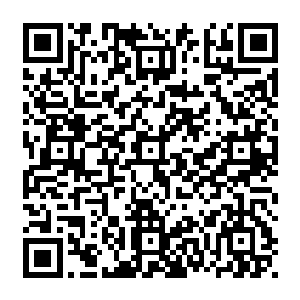 我看着自己手上带出来的一个细细若不是还在蠕动肉眼根本从血里分辨不出的虫子二维码生成