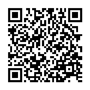 我看着这个奇怪又隆重的队伍一个个面无表情的朝我们面前走过二维码生成