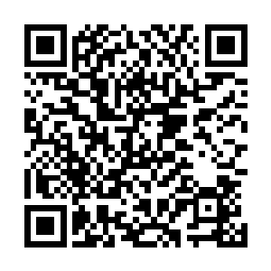我看陆书记对咱们政法系统的看法和态度都有很大的变化啊二维码生成