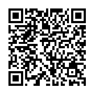 我真不敢相信我真的做了这件事――拉着别人来掩护我寻欢作乐二维码生成