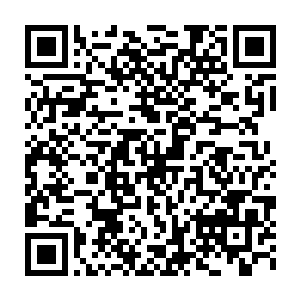 我瞧着你们兄弟姐妹没有一个是晨儿外祖父外祖母那般安份的性子二维码生成