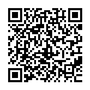 我知道被我抹去灵魂印记的滋味不好受……结果已经无法改变二维码生成