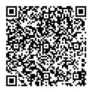 我知道这酒店后面车库那边……有一个通道……应该不会有警察拦着……我们从那边偷偷溜走就不会被发现……不过二维码生成