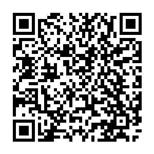 我离开家的这十五天里天天都想着你……所以回来看看你再去……你想我了吗二维码生成