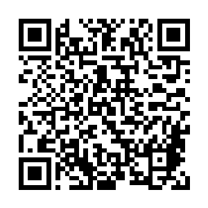 我突然看到了他仰起头用那张俊俏的面容对着我二维码生成