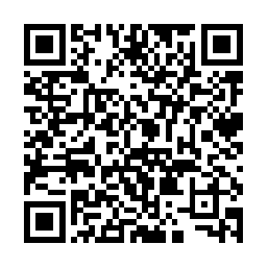 我竟忘了……魔修又如何能探查灵修的经脉情况……二维码生成