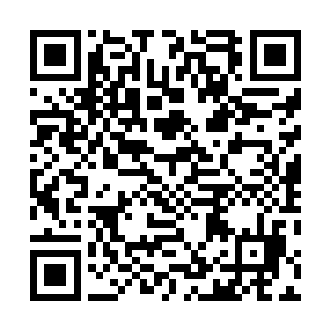 我笑机甲世界终于出现一个与你一样喜欢兔子机甲的人了二维码生成