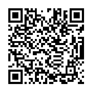 我绝对不相信任何一个人会无缘无故的出现在一个地方二维码生成