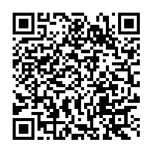 我肯定吉安罗普洛斯――甚至是默多克在梦里都不会指望这么好的事儿二维码生成