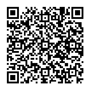 我能告诉你我刚刚灌注到天马穴位和身体当中的仙力是你金童和玉女两个体内的仙力吗二维码生成