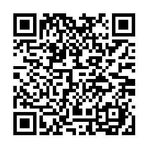 我舅舅他们单位想在这边承包一块山坡种树搞绿化二维码生成