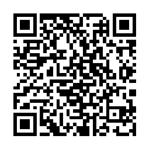 我要回去琢磨琢磨十月份在b市开花卉博览会的事情二维码生成