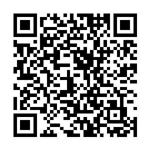 我要欣赏你死亡时候痛苦挣扎的神情……嘿嘿……二维码生成