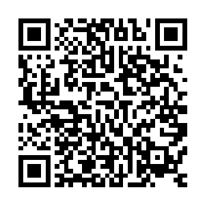 我觉得一定能带着我们整个班在整个清北校园当中拔得头筹的二维码生成