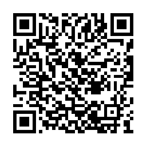 我觉得你一定能够给伯母拿到一颗天地造化丹的二维码生成