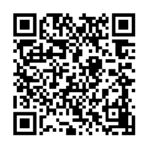 我认为我们完成任务能活着离开这个副本的可能性二维码生成