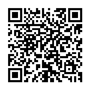 我让你夫人定期输送源力给我……陨石大部分会让东荒自己消化二维码生成