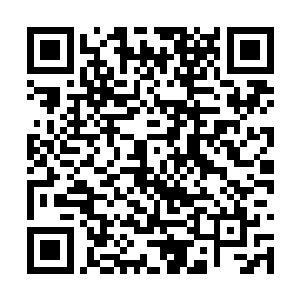 我说你们行不行啊・还有好几天呢・再看就黏住了二维码生成