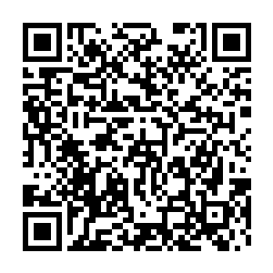 我说的婚后内容不多主要指的是具体描写柿子馒头的生活细节不多二维码生成