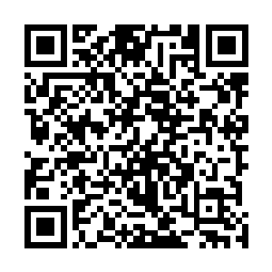 我身体一矮向后仰的同时把脚抬起来对准车门砰的一踢飞二维码生成